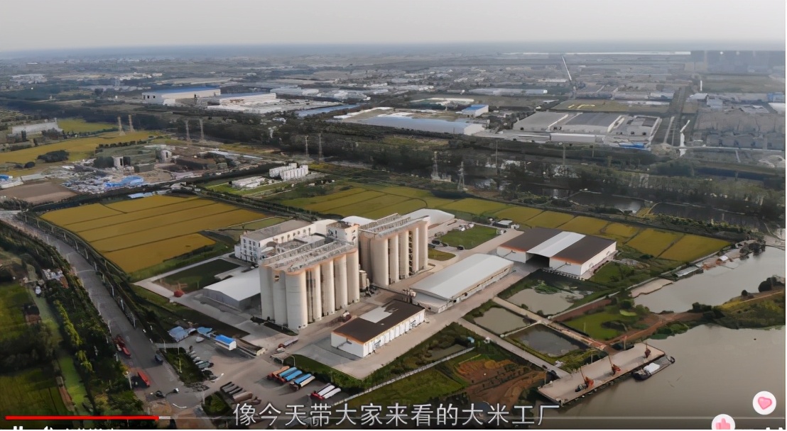 粮食背景院校（上），河南工业大学，2020年粮食工程就业如何