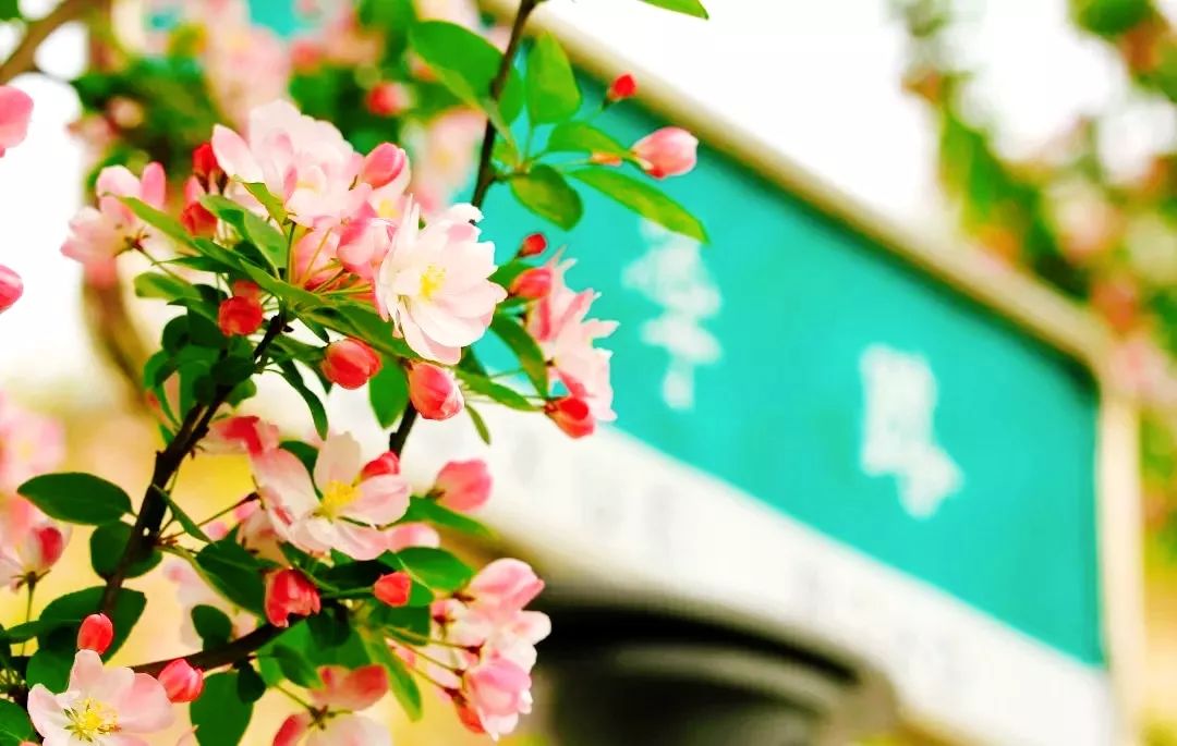 中国民航大学地位,中国民航大学很牛吗现在还有吗