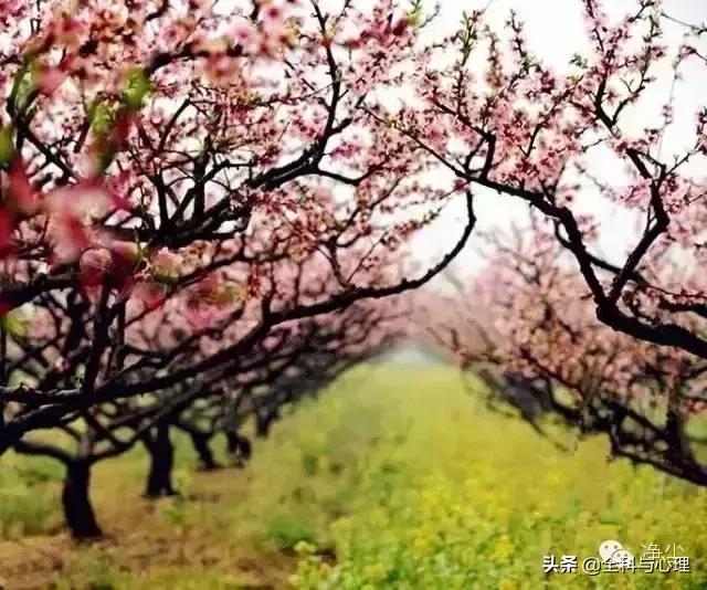 善良是一个人最大的信仰,善良是一个人最大的财富