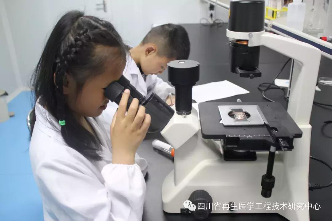 中清科华生命科普馆介绍,中清科华生物科技研究院成都分院