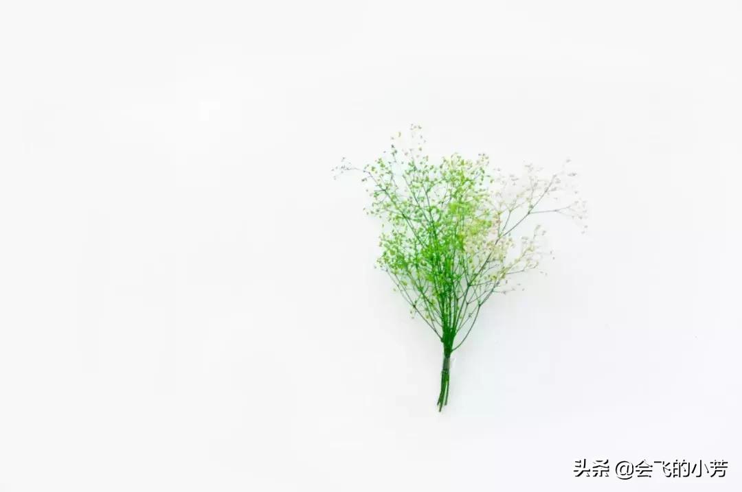 等待只是给自己一个不离开的借口,等待不是为了能回来而是找个借口