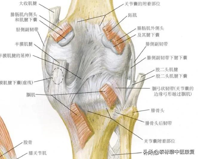 膝关节增生疼痛偏方,四神煎治膝关节疼痛