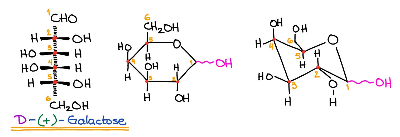 聚合猫化工知识小科普：碳水化合物是什么？有哪些种类呢？