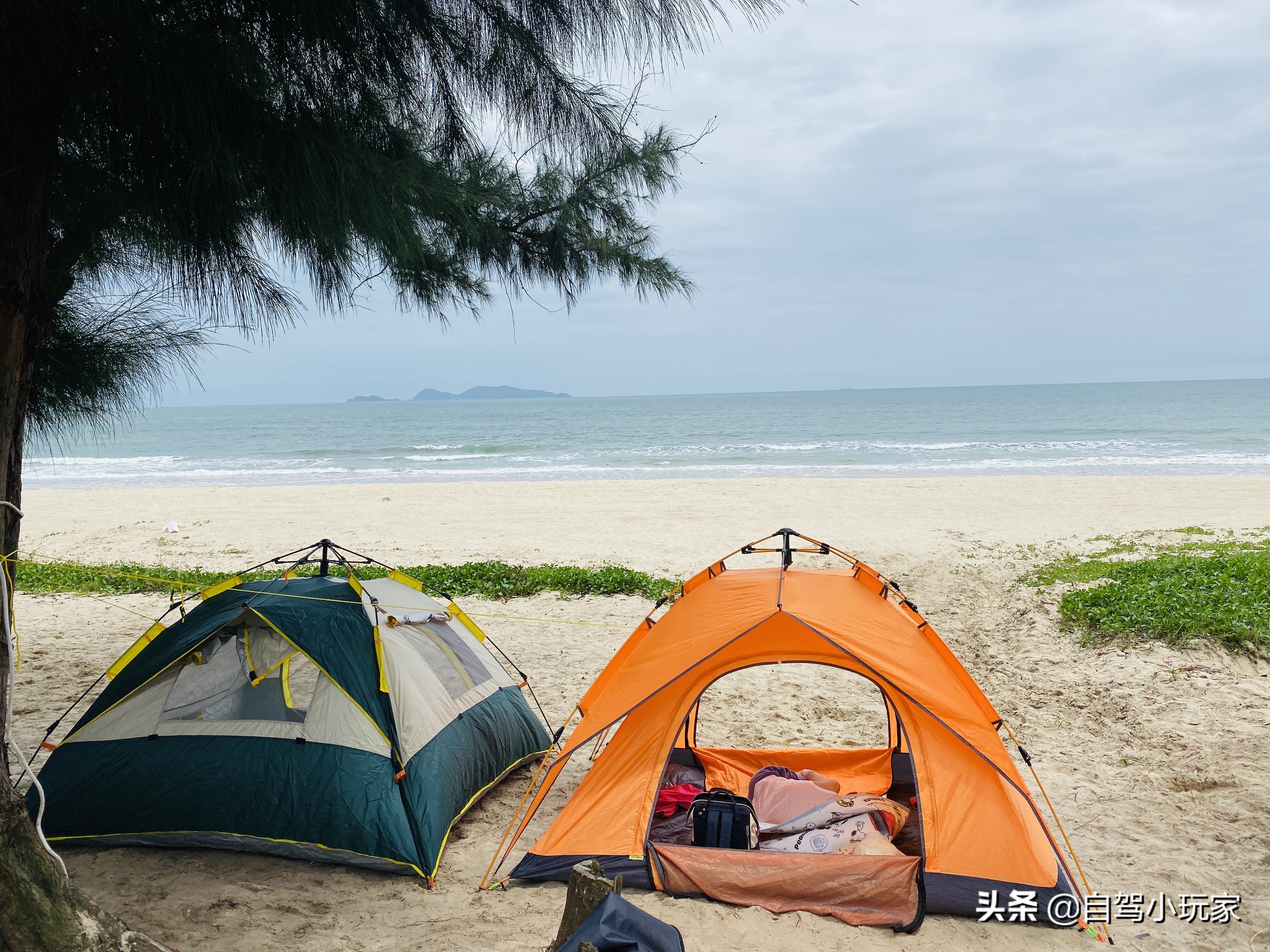 惠州最美礁石海滩,惠州最干净的沙滩推荐