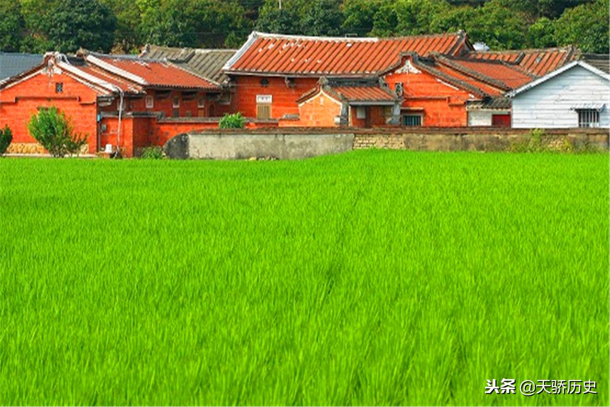 芒种时节田间忙,芒种时节忙收又忙种是俗语吗