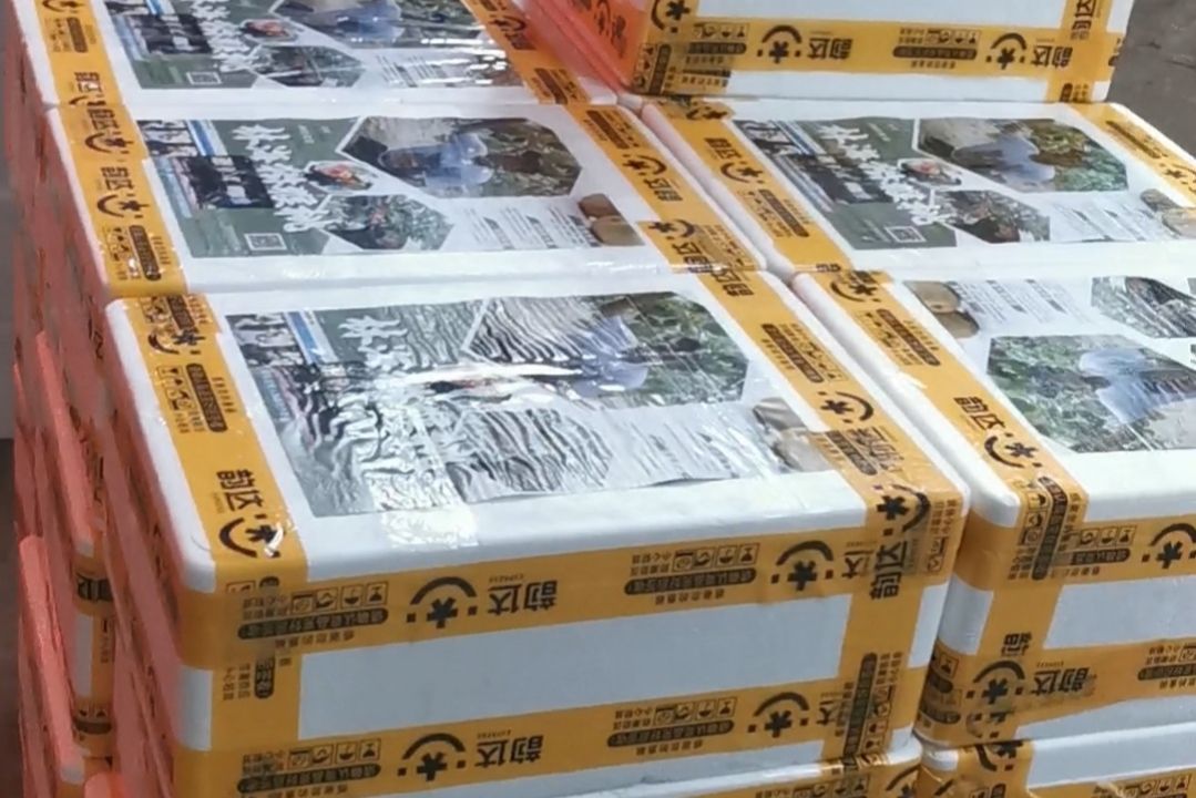 回农村创业成功的故事,在农村创业的创业经历简介