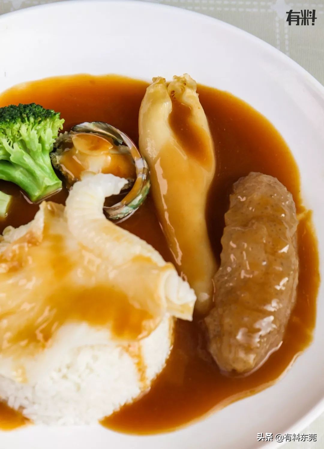 石锅鱼翅花胶捞饭团购,上海花胶鱼翅捞饭