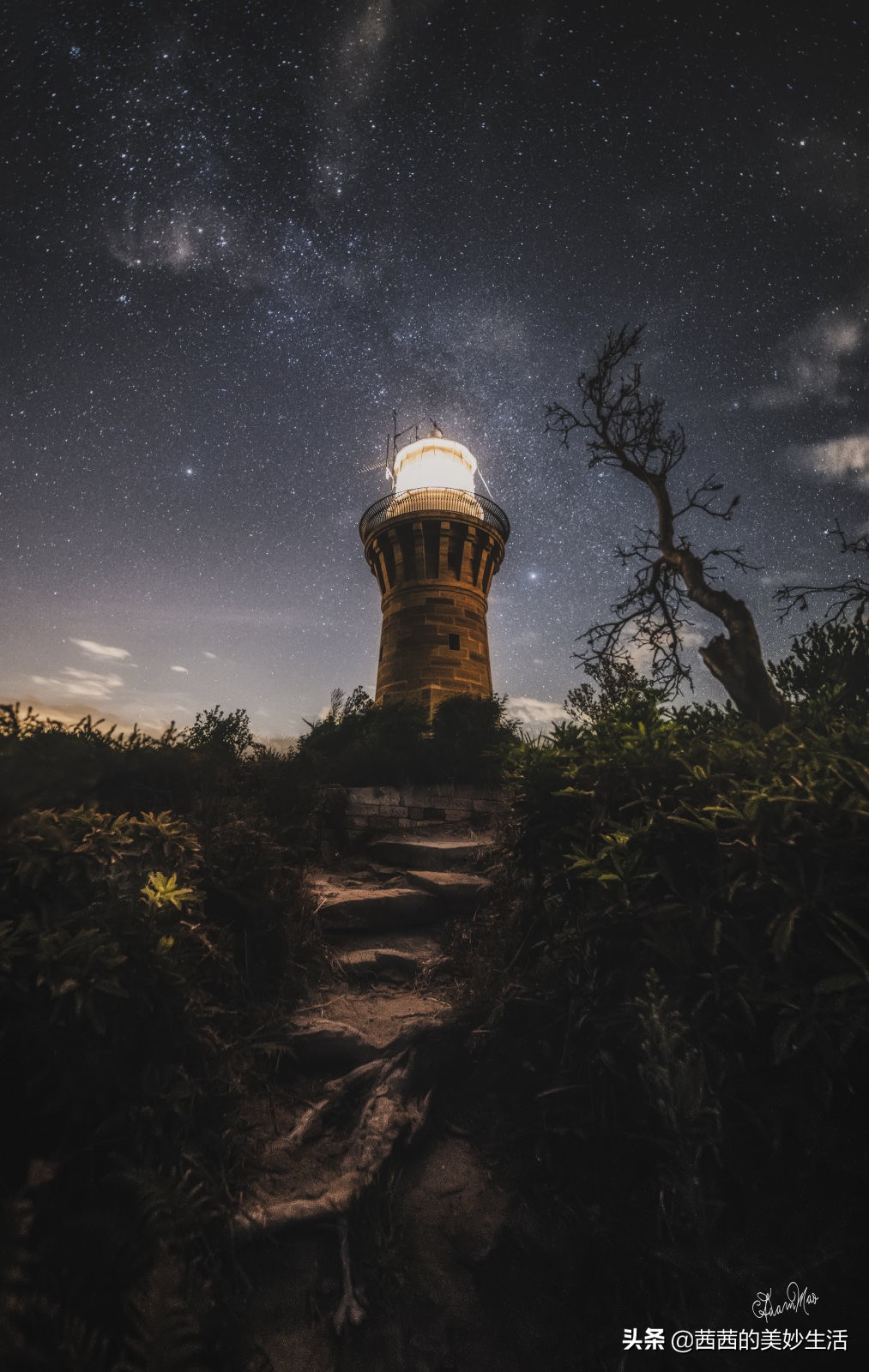 悉尼为什么值得去,为什么要选澳洲悉尼去旅游