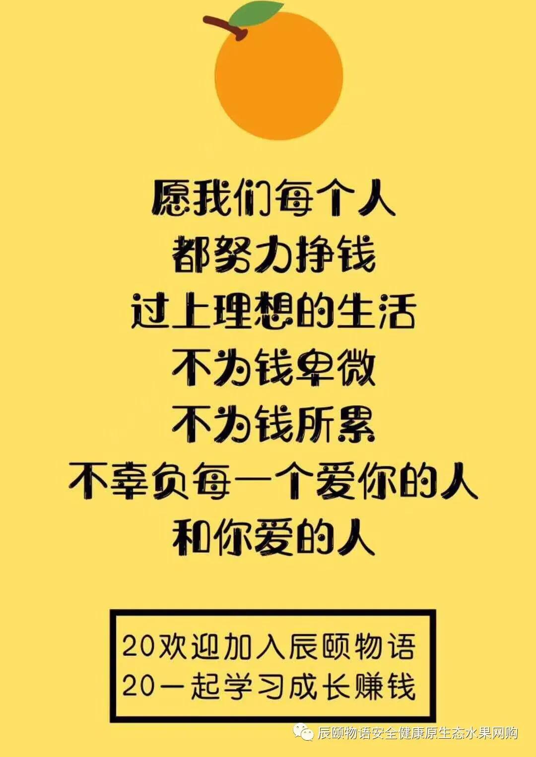 辰颐物语怎么代理一单利润多少,辰颐物语代理价格表谁有