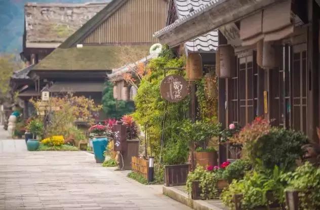 无锡拈花湾住宿禅意村舍,无锡拈花湾禅意植物