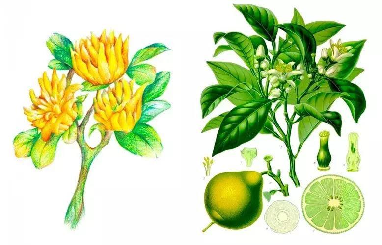 30岁的男人怕父母生病,三十几岁的男人最怕父母生病