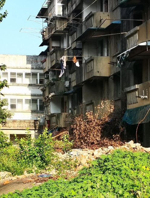 童年的时光还在马背上歌词,童年的时光