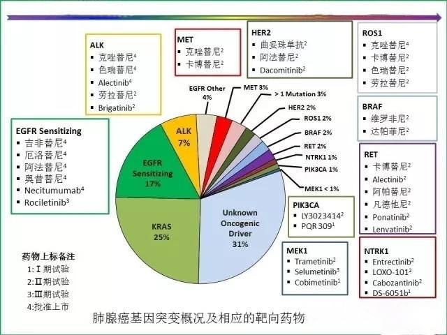 肺癌一代靶向与三代靶向,靶向治疗简单理解