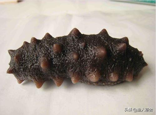 烟台十大农产品,烟台具有特色的农产品