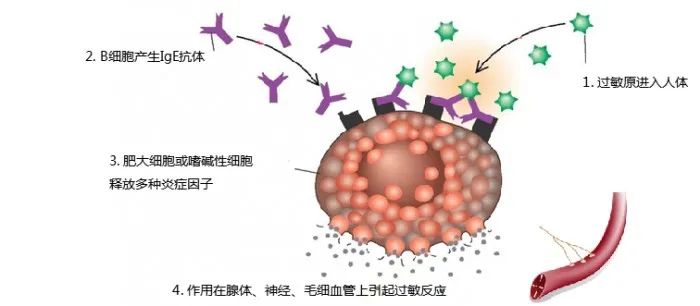 绉戝鐮旂┒姘磋洯,绉戝姘磋洯鐮旂┒