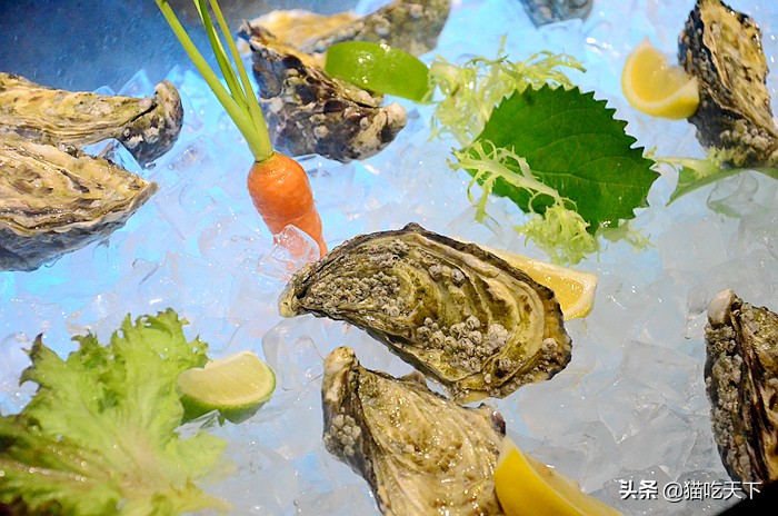 厦门鼓浪屿对面海景酒吧,厦门鼓浪屿海边酒吧