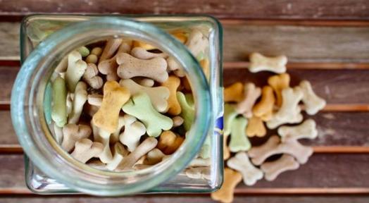 狗粮品牌前十排名幼犬,哪些牌子的幼犬狗粮比较好