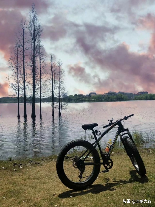 金义都市新区招聘,金义都市新区未来5年规划