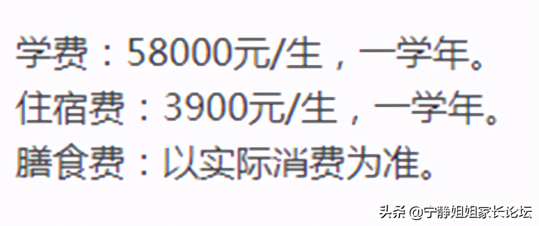 民办学校选哪个好,纠结报考民办初中还是公办初中