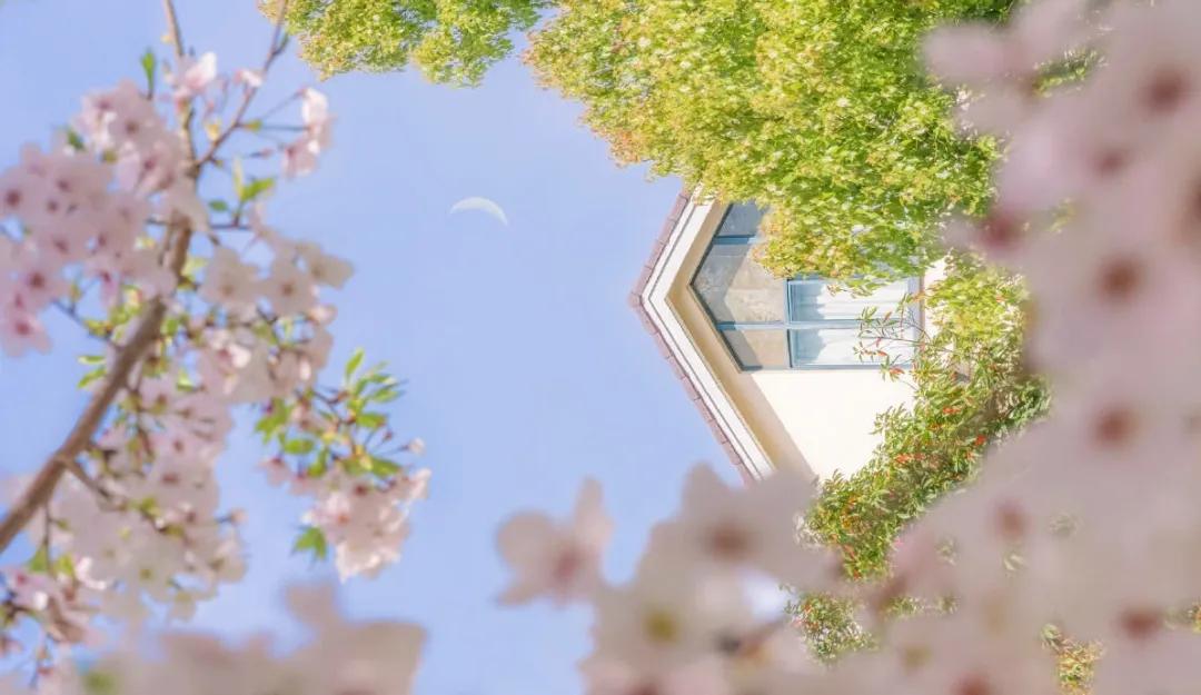 男士香水推荐这5款淡香水,香水排名前十位男士香水推荐