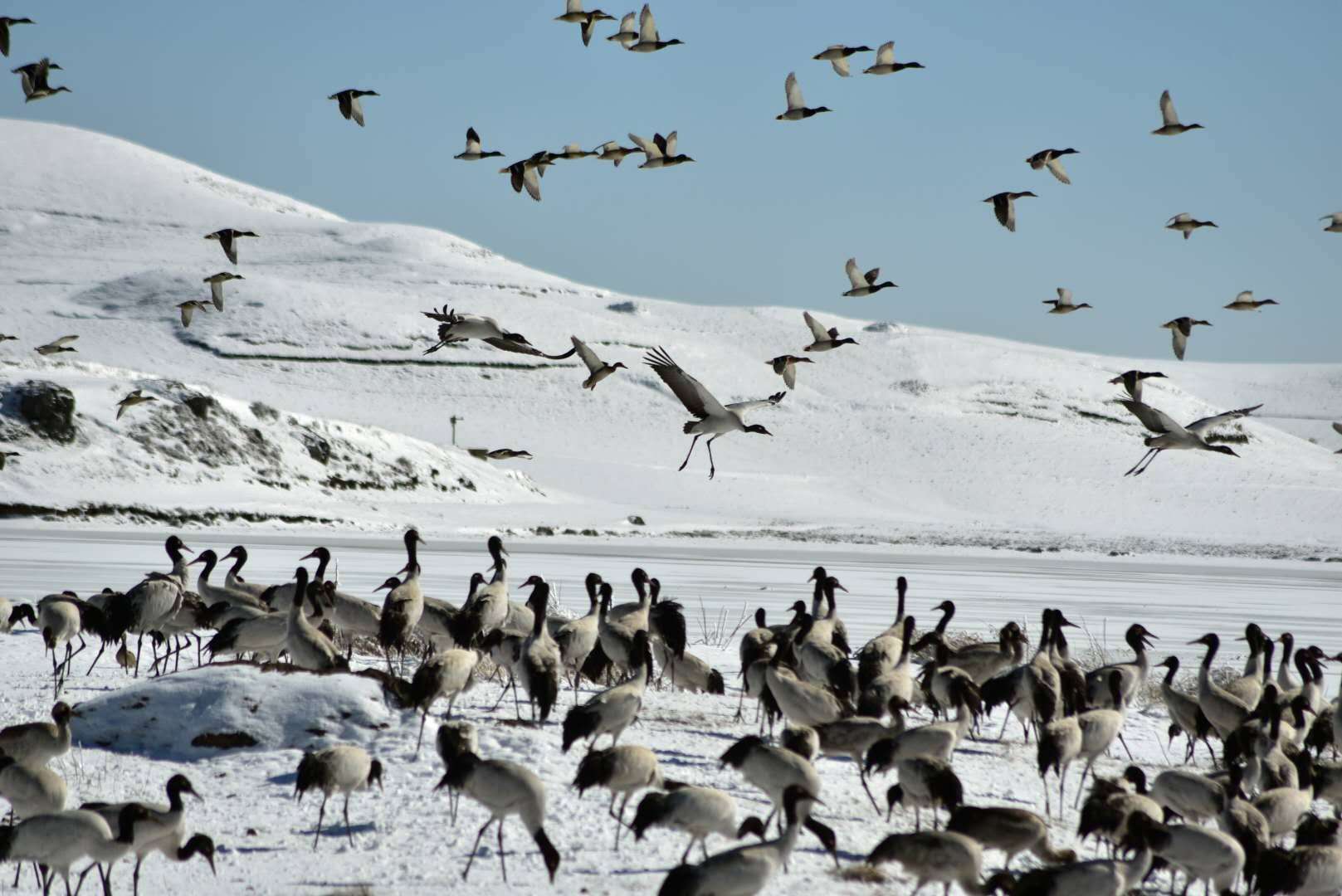 云南昭通大山包附近有什么好玩的,云南昭通大山包景区