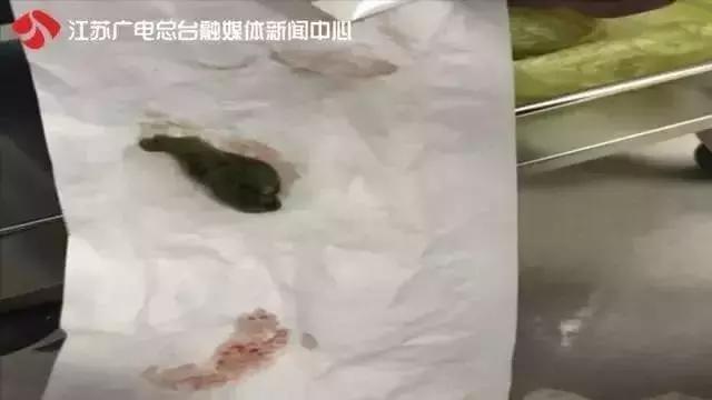 青团也有鄙视链?东北人太无奈,站在鄙视链顶端的居然是...