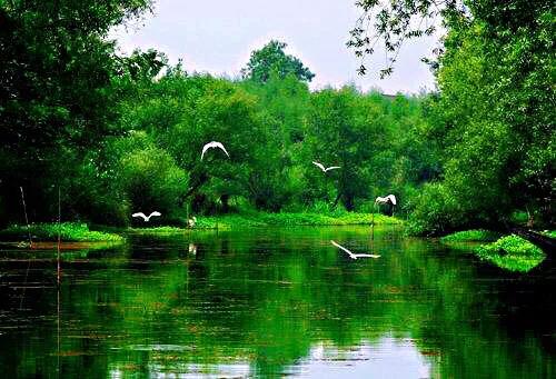 浙江杭州西溪国家湿地公园二期,杭州国家西溪湿地公园