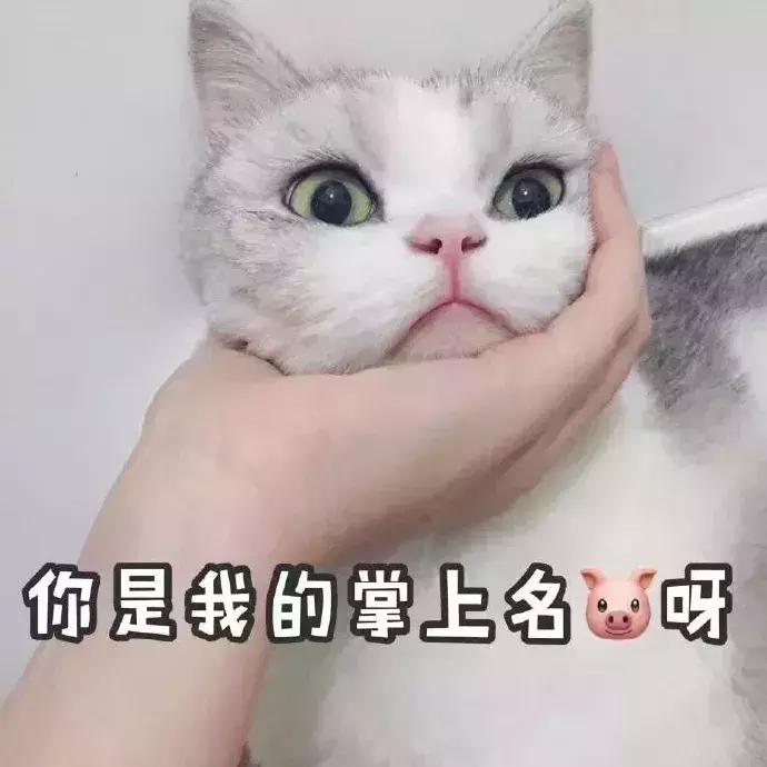 日本小脸矫正手法,日本小脸整形手术