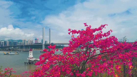 珠海买房过冬真实感受,在珠海买房十大秘诀