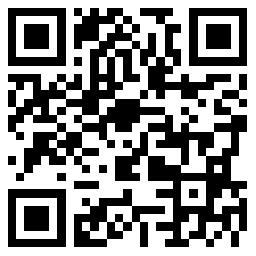 人力资源公司薪酬绩效管理,设计公司人力资源管理政策