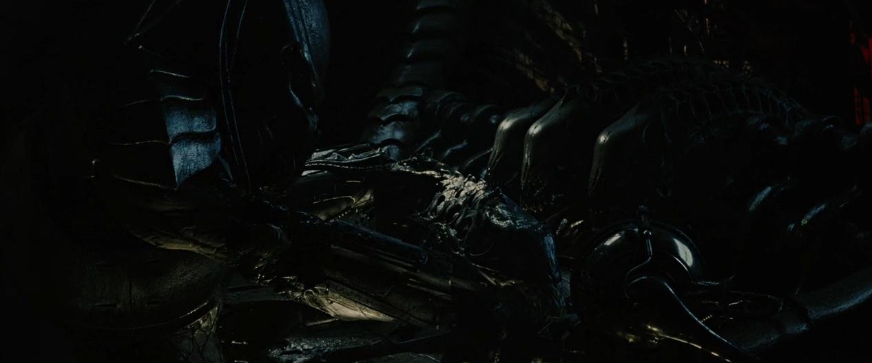 铁血战士系列解析,铁血战士形态全部解析