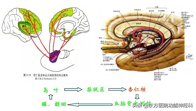 精神病人的前世,精神科药物的前世今生