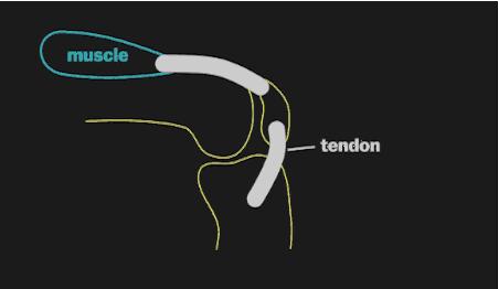 浏阳骨科医院治骨质增生吗,骨质增生查什么