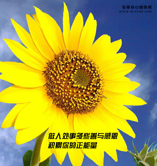 不定代词either和neither,不定代词neithernor