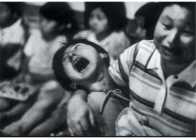 1952年，5万多只猫集体跳海自杀，背后隐藏着什么？