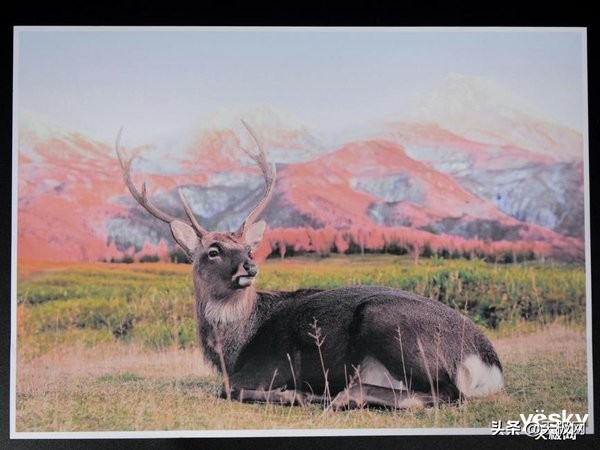 兄弟t4000dw喷墨打印机维修,兄弟4000dw打印机测评