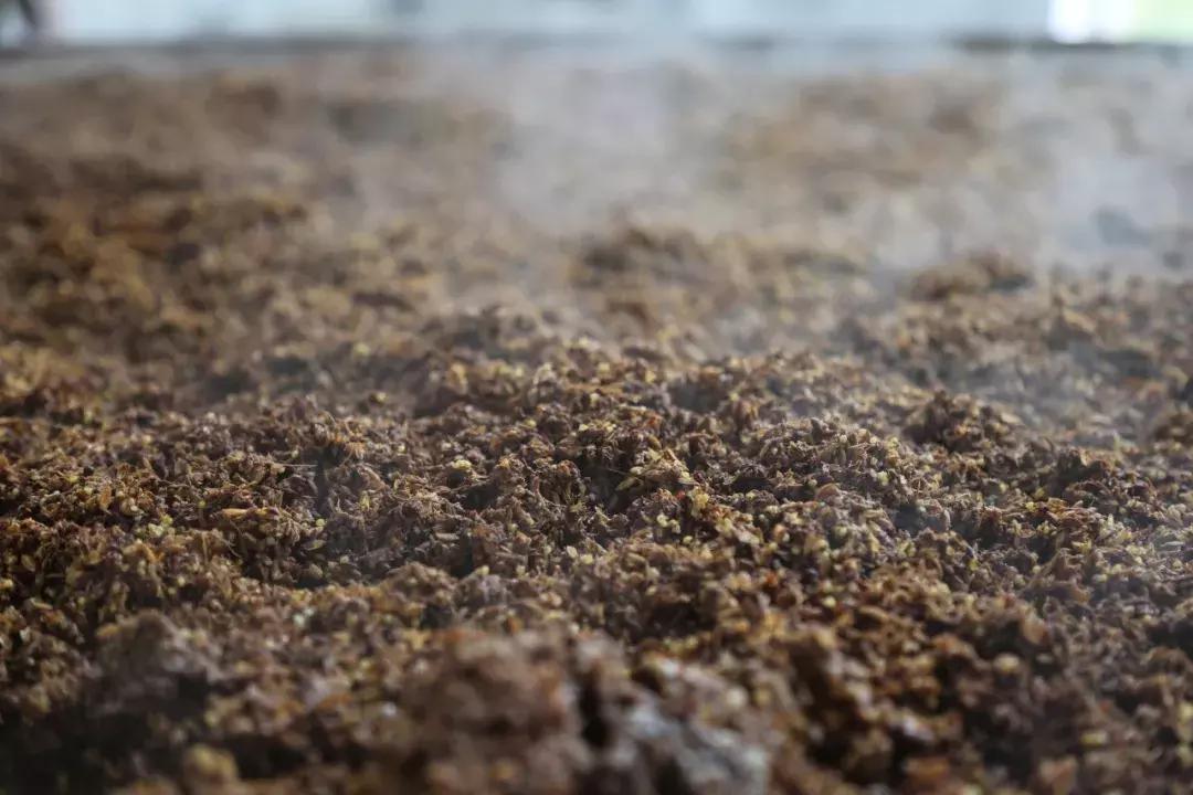 褚时健70岁创业种橙子,褚时健创业历程简短