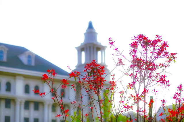 一定要知道的7所黄埔军校,全国43所军校大盘点高考生收藏
