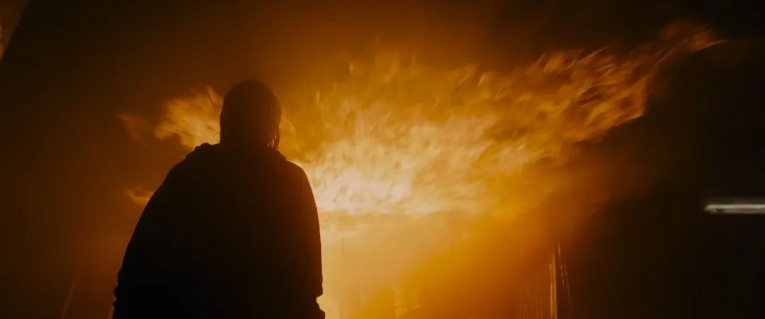 近两年毁三观的电影,最近一部毁三观的电影