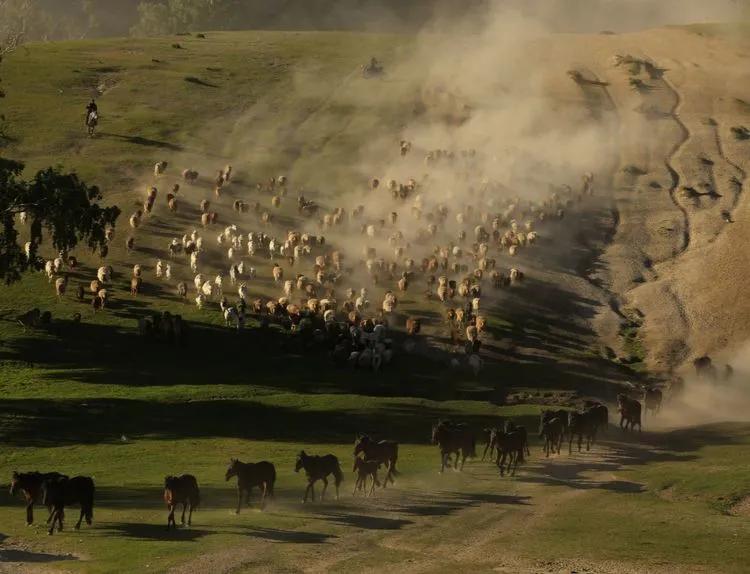 迁徙的家园，马背上的诗