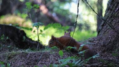 葬礼当天，她成为了四个孩子的“后妈”，网友：这是童话故事吧