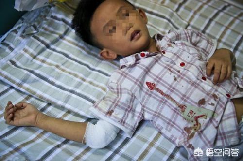 小孩偷邻居家的果树中毒,果园偷吃桃子中毒