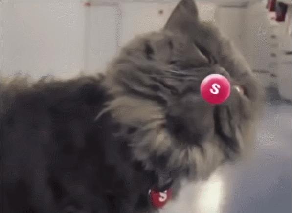 脑洞狂魔彩虹糖营销策略 (彩虹糖为什么能做到家喻户晓呢)