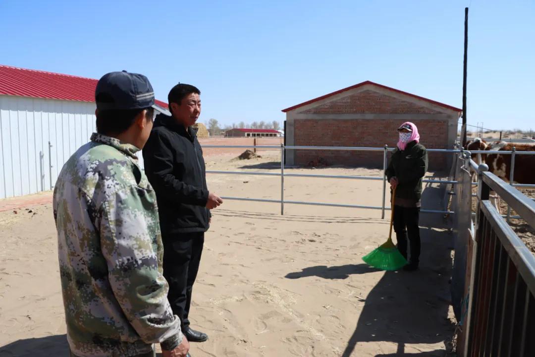 【同心奔小康】小八仙筒村：牛人·牛事·牛日子