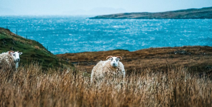这里的秋冬，萧索中满是优雅
