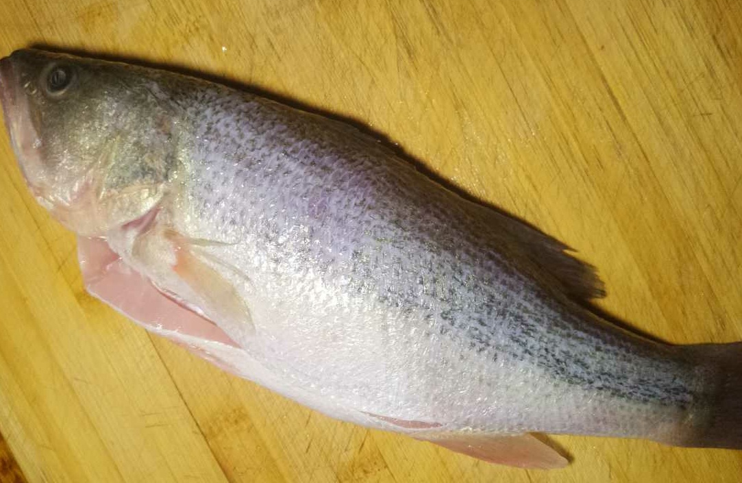 清蒸鲈鱼怎么蒸鱼鱼不烂,清蒸鲈鱼的正确方法没蒸鱼豉油