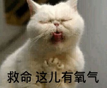 补骨脂酚在护肤品的作用,补骨脂酚对皮肤的功效