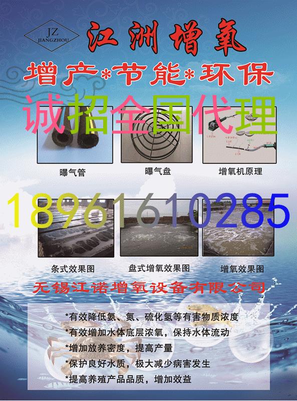 蟹塘蓝藻的原因和处理,蟹塘蓝藻处理方法