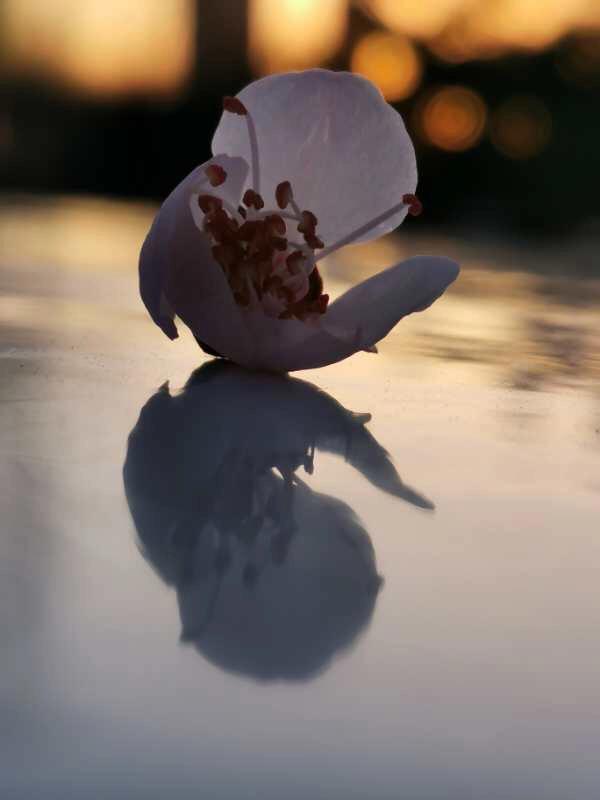 手拍世界手机摄影平台,手拍世界摄影平台