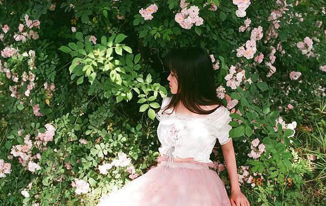 满架蔷薇一院香,开到荼靡花事了